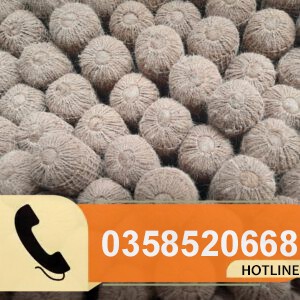 Lưới xơ dừa